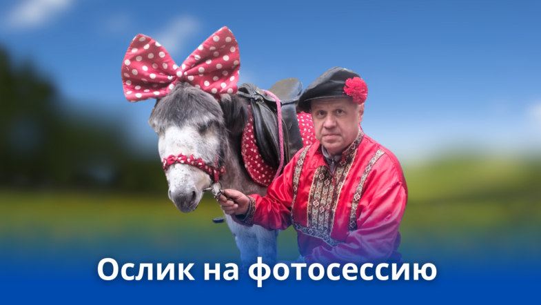 alt="Катание на осликах и пони"