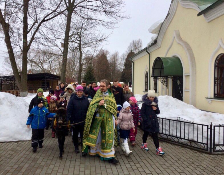 alt="Катание на осликах и пони"